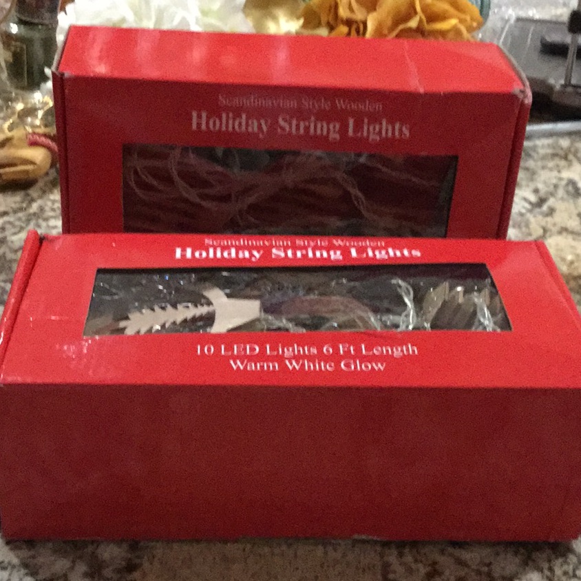 2 Holiday String Light